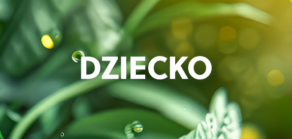 moduł 4-2 desktop 585x280.jpg