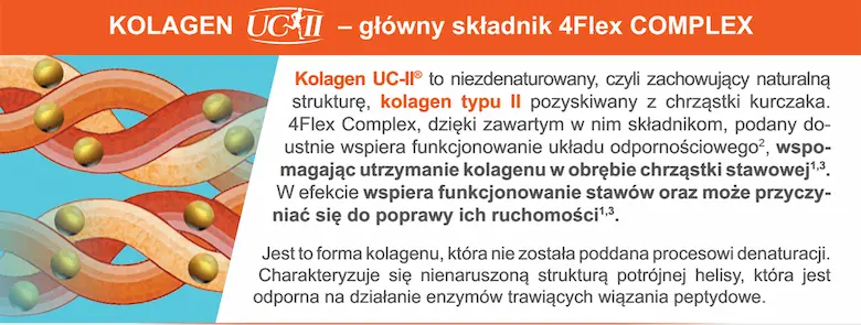 Kolagen - główny składnik 4Flex COMPLEX