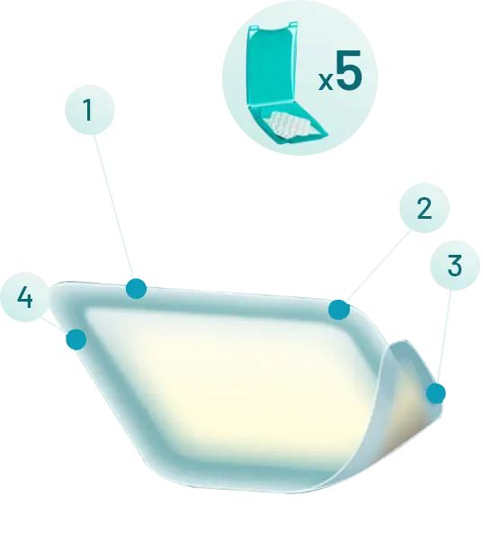 COMPEED plastry na zwyrodnienia kostne (halluksy), średnie, 5 szt - grafika prezentująca produkt