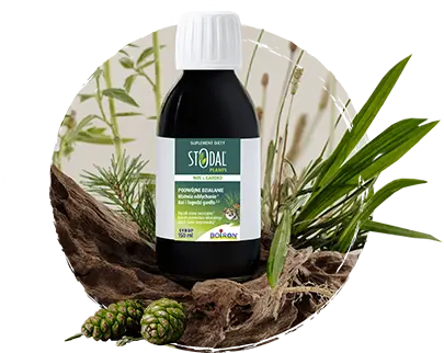 Stodal Plants Nos & Gardło butelka 150 ml