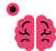 Punktor