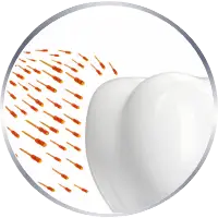 Zdjęcie 5909990067619