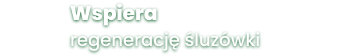 Wspiera