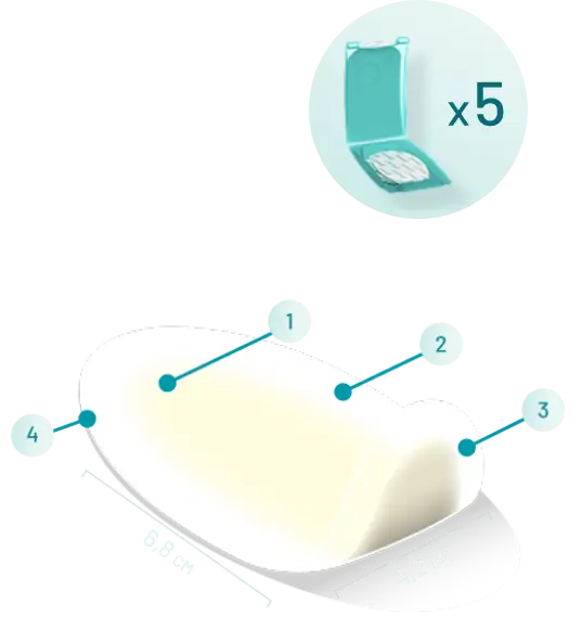 COMPEED plastry na pęcherze, średnie,  5 szt - grafika prezentująca produkt