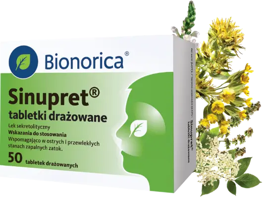 Sinupret, tabletki marki Bionorica, 50szt., biało-zielone opakowanie; obok kwiaty białe oraz żółte; napis Lek OTC