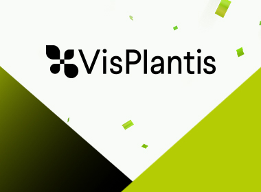 W - LP - Kafelek z treścią poczwórny 380x280 VIS PLANTIS (1).jpg