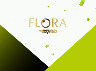 W - LP - Kafelek z treścią poczwórny 380x280 FLORA (1).jpg