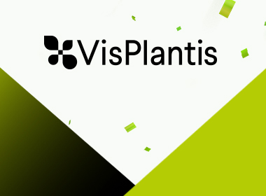 W - LP - Kafelek z treścią poczwórny 380x280 VIS PLANTIS.jpg