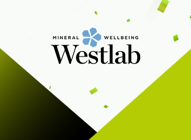 W - LP - Kafelek z treścią potrójny 380x280 WESTLAB.jpg