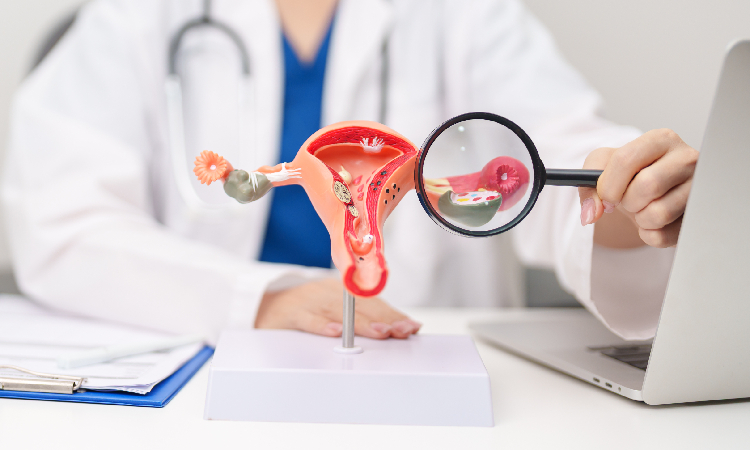 Zdjęcie wyróżniające artykułu