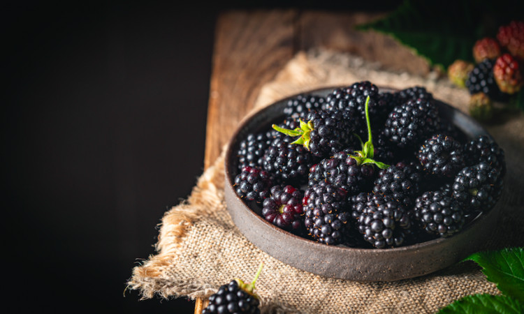 Jeżyny - polski superfood. Właściwości zdrowotne, witaminy i zastosowanie w diecie