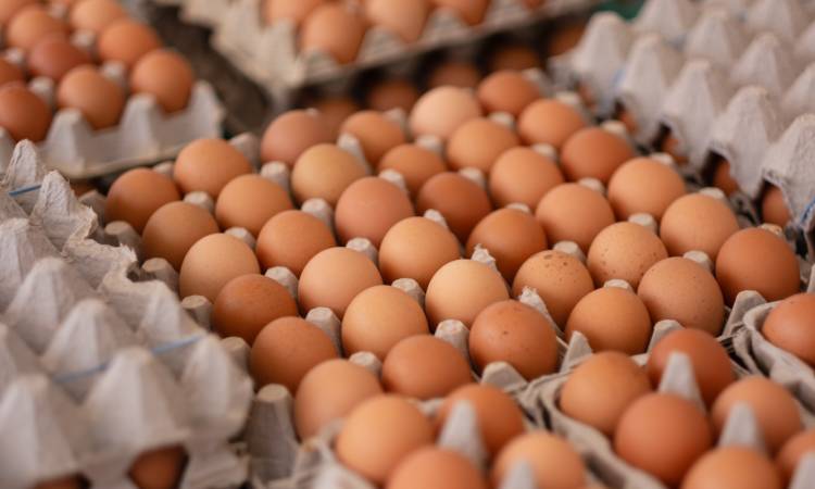 Jajka – superfood czy źródło cholesterolu? Właściwości i wpływ na zdrowie