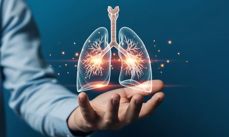 Jak oczyścić płuca - skuteczne metody regeneracji i detoksu
