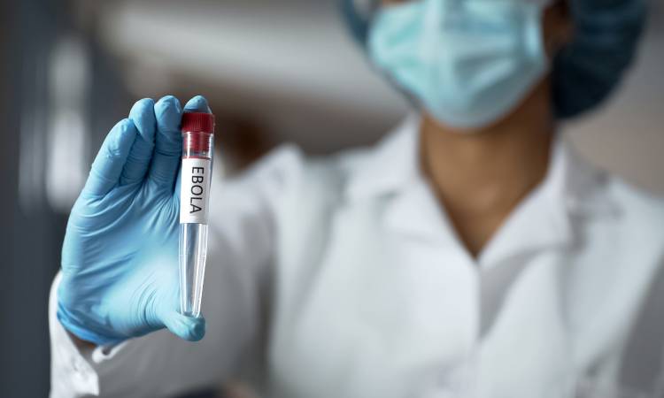 WHO ogłasza międzynarodowy stan zagrożenia. Ebola znów budzi niepokój
