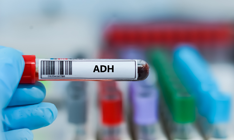 Wazopresyna (ADH) – jaka jest norma? Objawy niedoboru i nadmiaru hormonu antydiuretycznego