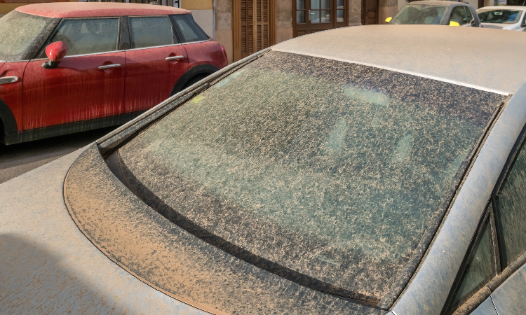 Pył znad Sahary nad Polską. Jak wpływa na zdrowie i kto jest najbardziej narażony?