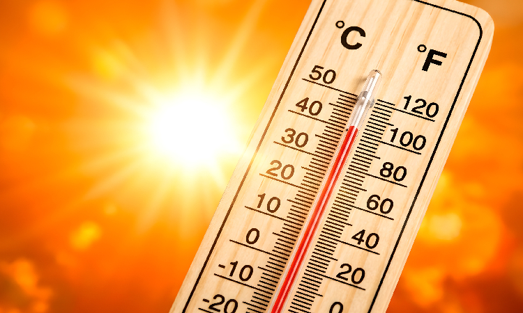 Fala upałów w Europie i Polsce. Jak chronić organizm przed skutkami wysokich temperatur?