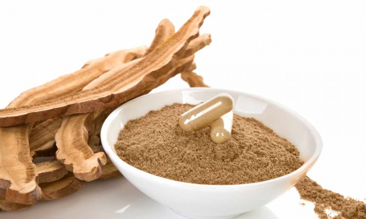 Grzyb reishi – działanie, właściwości i zastosowanie