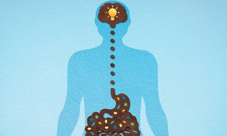 Psychobiotyki – nowy kierunek w dbaniu o zdrowie psychiczne poprzez jelita