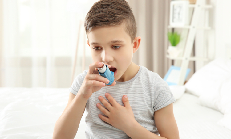 Jaki inhalator wybrać? Rodzaje inhalatorów, nebulizatorów i najważniejsze parametry