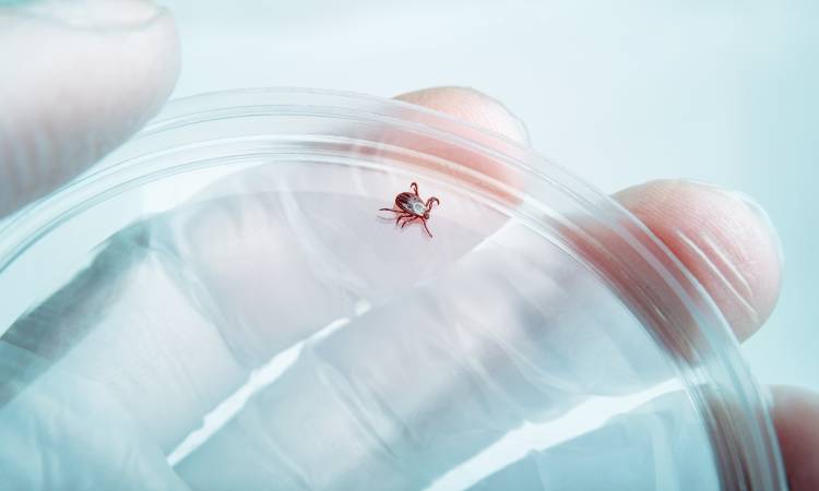 Zdjęcie wyróżniające artykułu