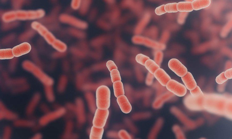 Pneumokoki – jakie są objawy i jak leczyć? Co musisz wiedzieć o szczepieniach na pneumokoki?