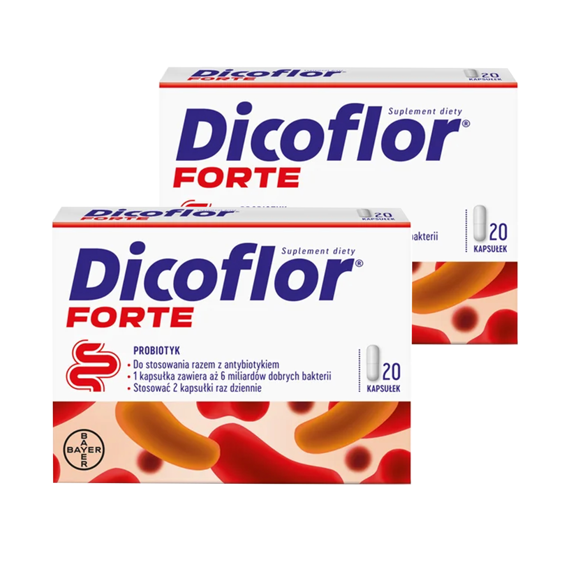 Dicoflor Forte, kapsułki, 2 x 20 kapsułek zdjęcie