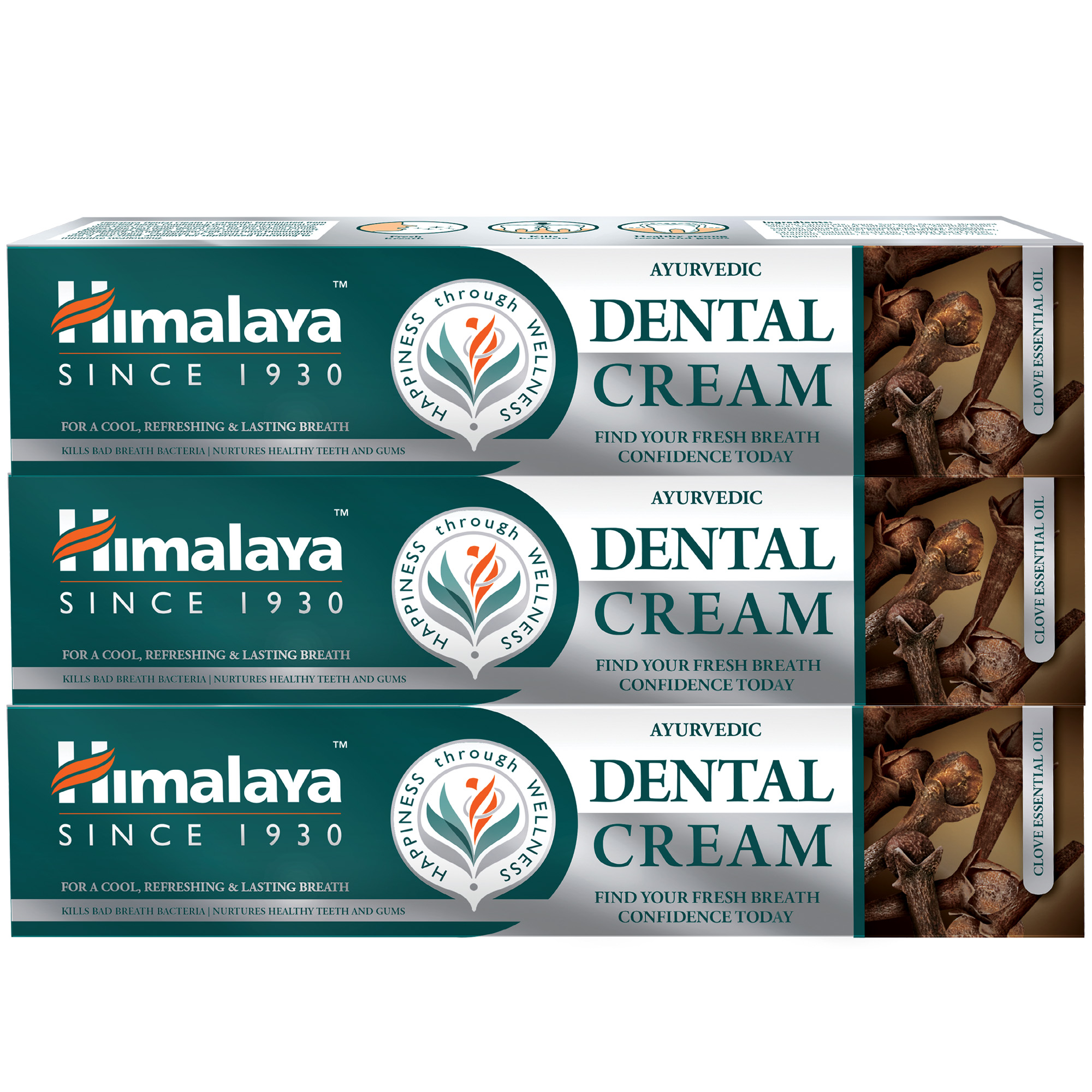 Himalaya Dental Cream Ajurwedyjska pasta do zębów z Olejkiem z Goździków, 3 x 100 g zdjęcie