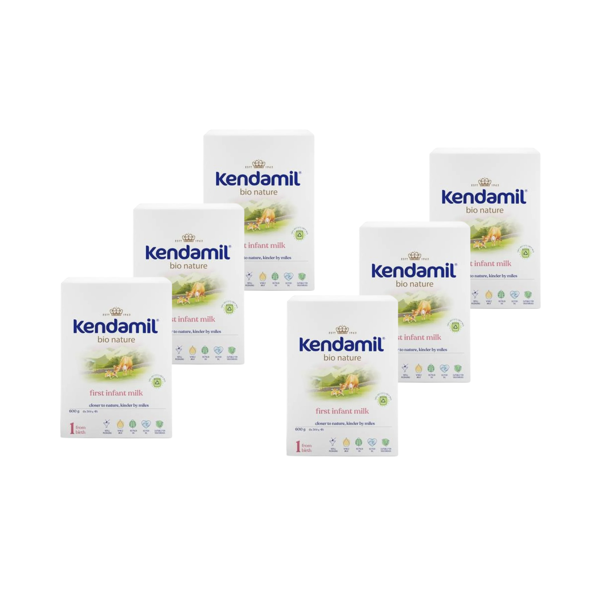 Kendamil BIO Nature 1, 6 x 600 g zdjęcie