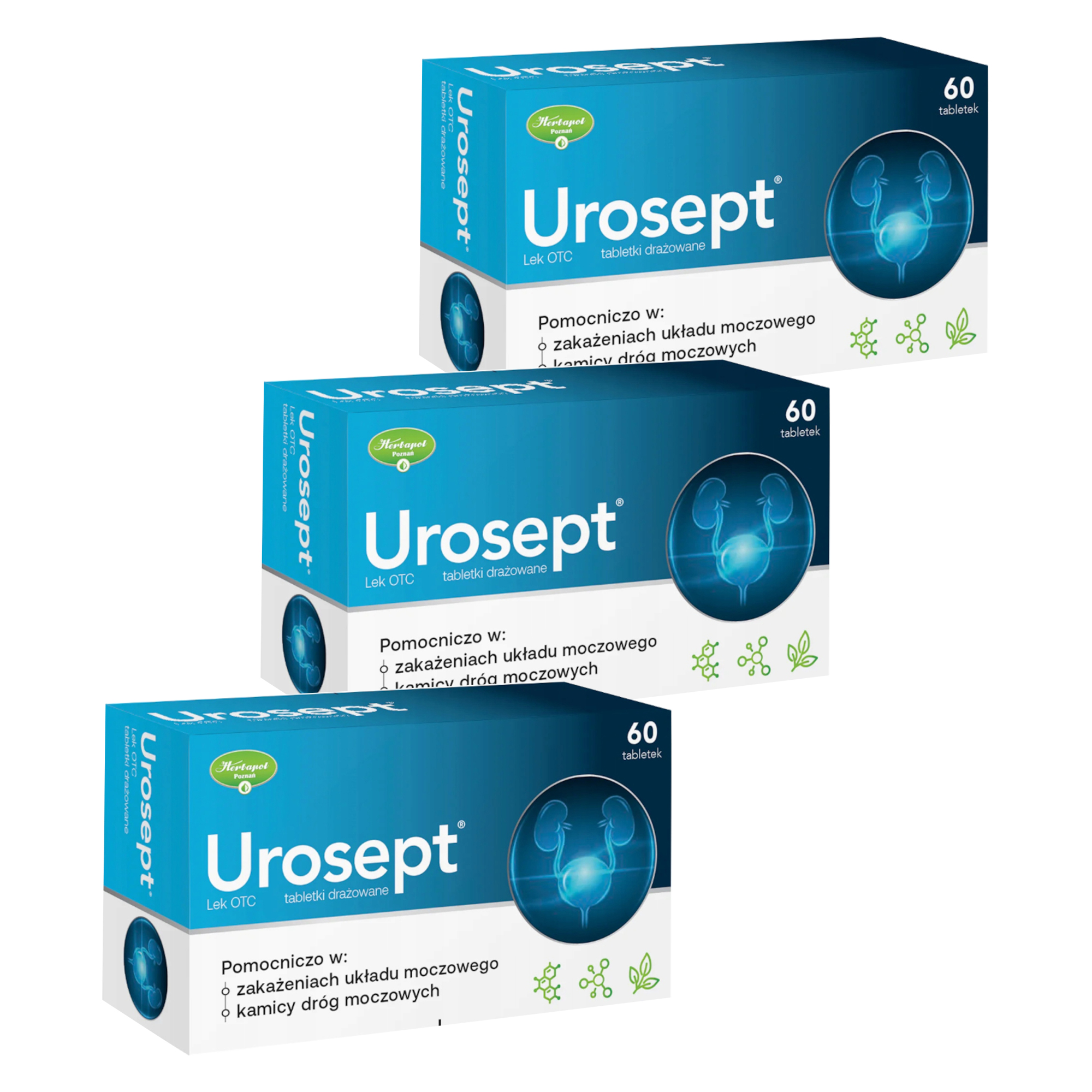 Urosept, tabletki drażowane, 3 x 60 sztuk zdjęcie